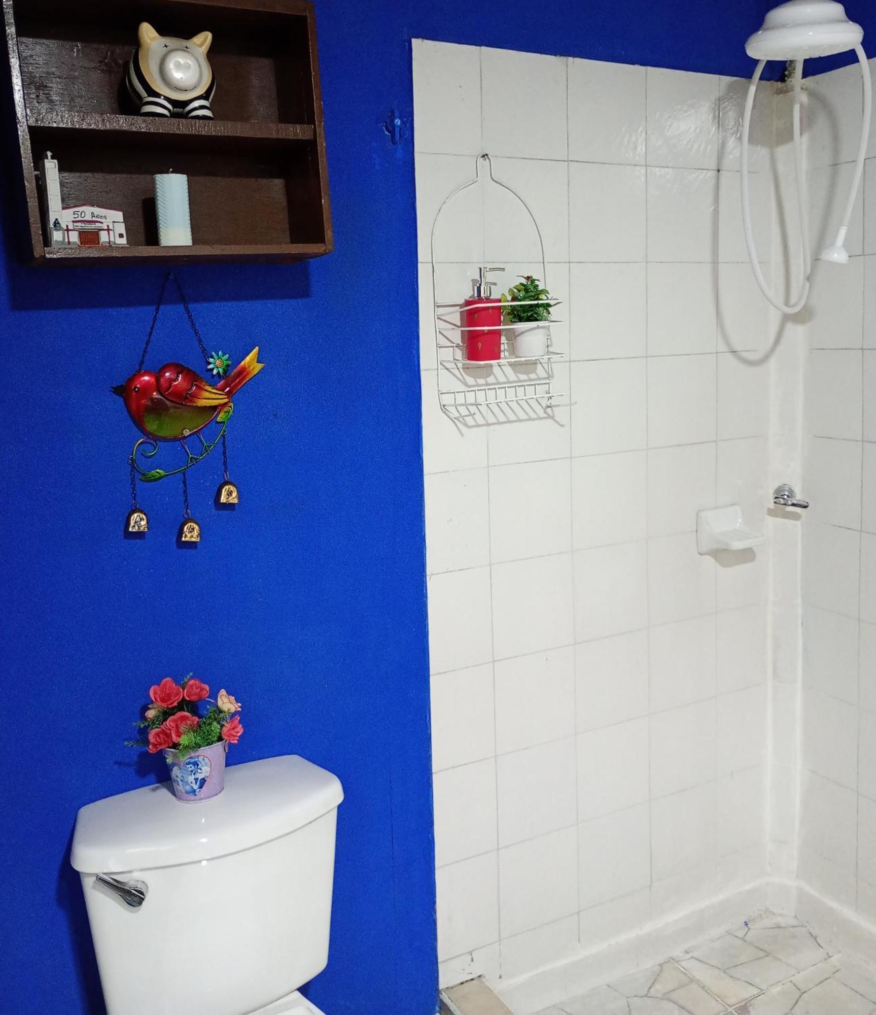 Oasis Urbano Apartamento