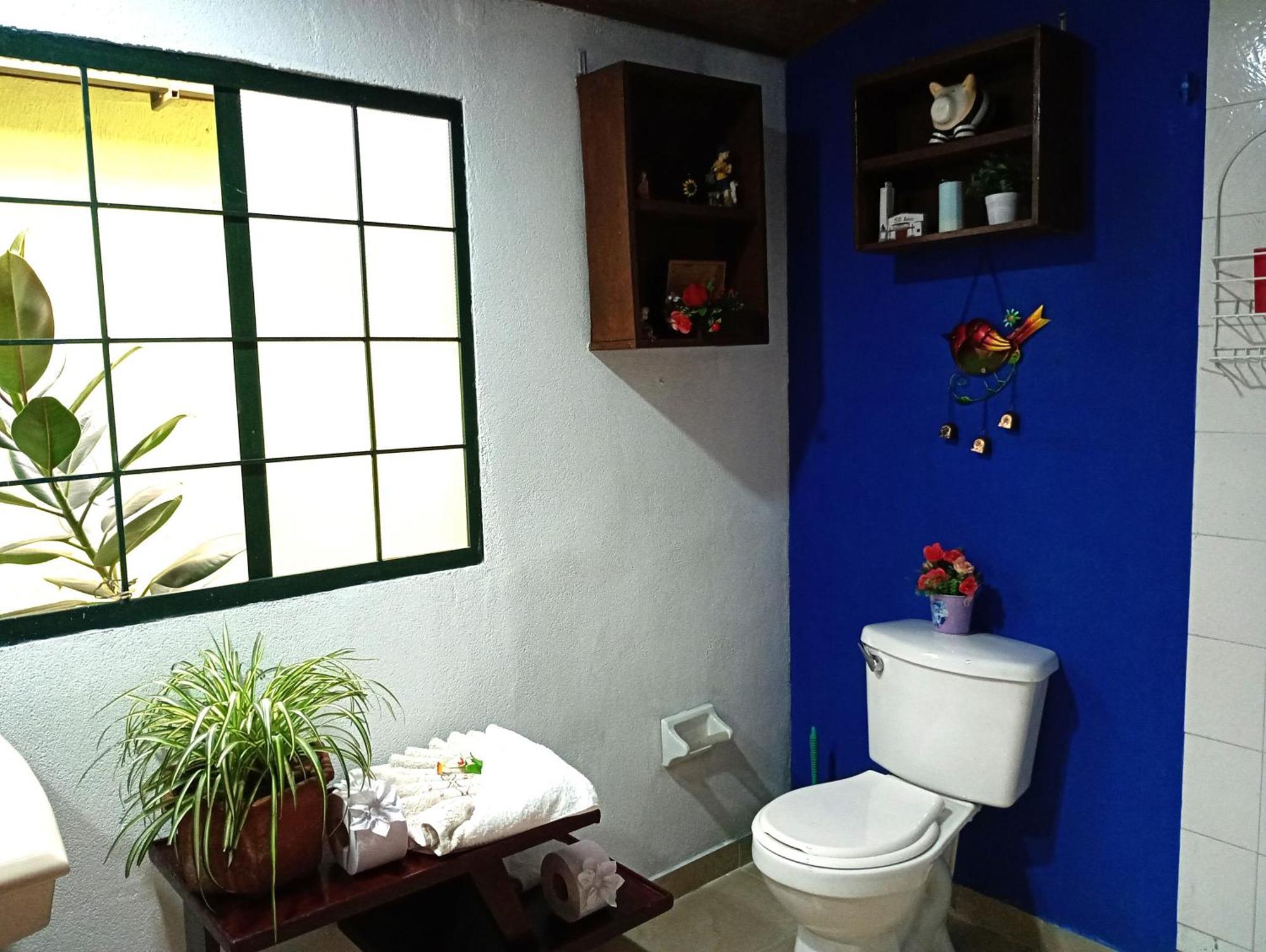 Apartamento Oasis Urbano *